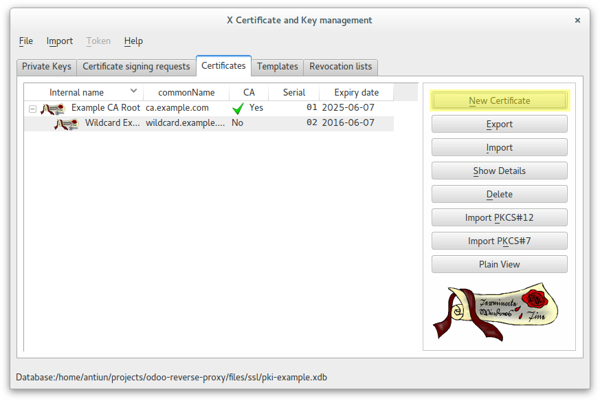 XCA - Client certificate