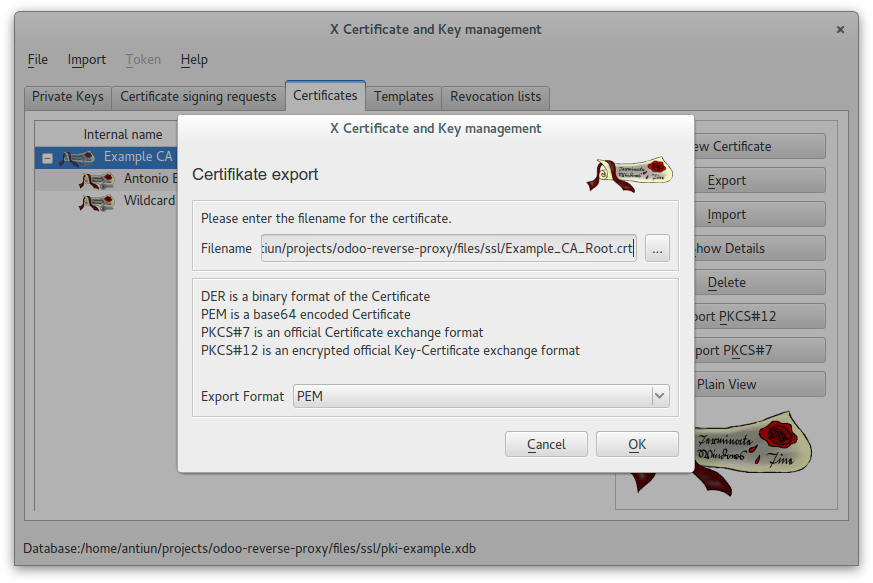 XCA - Export CA Root certificate