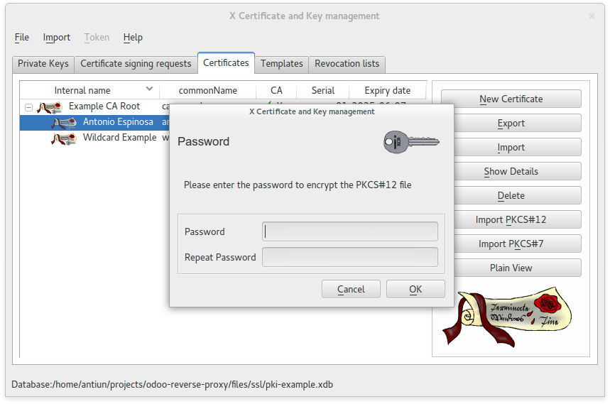 XCA - Export Client PKCS#12 password