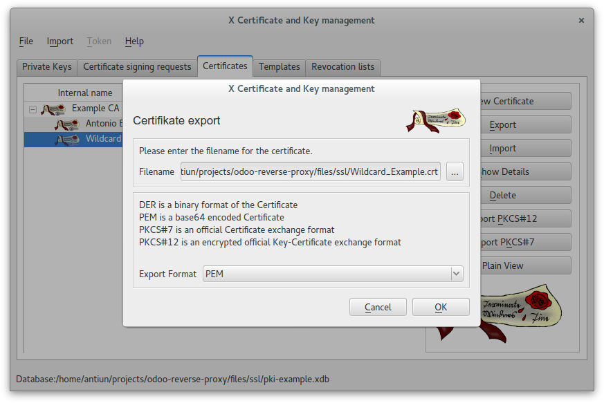 XCA - Export Wildcard certificate