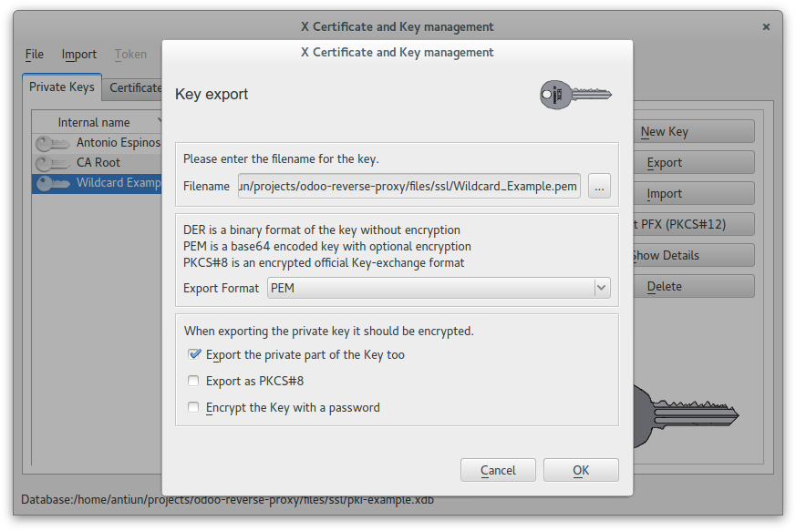 XCA - Export Wildcard private key